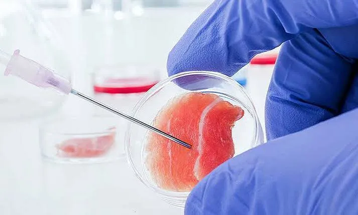 Cultivo celular en laboratorio a partir de una biopsia de piel